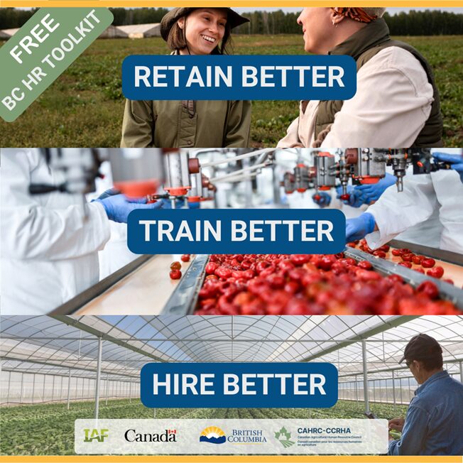The BC Agriculture HR Toolkit is now live, a free online resource for employers across British Columbia. 120+ templates, guides & checklists HR tools designed for agriculture Free access for BC employers